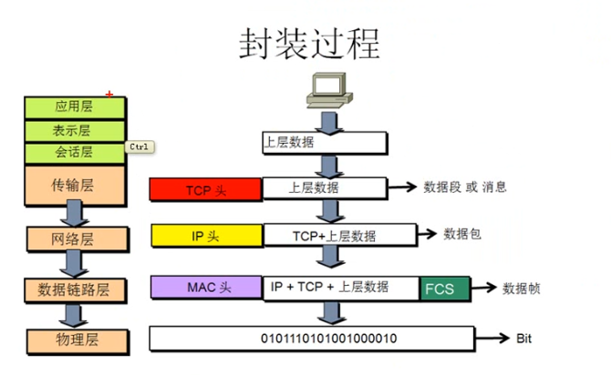 image-20220116135844590