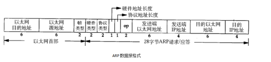 image-20220131192510328