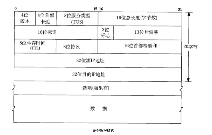 image-20220201173046589