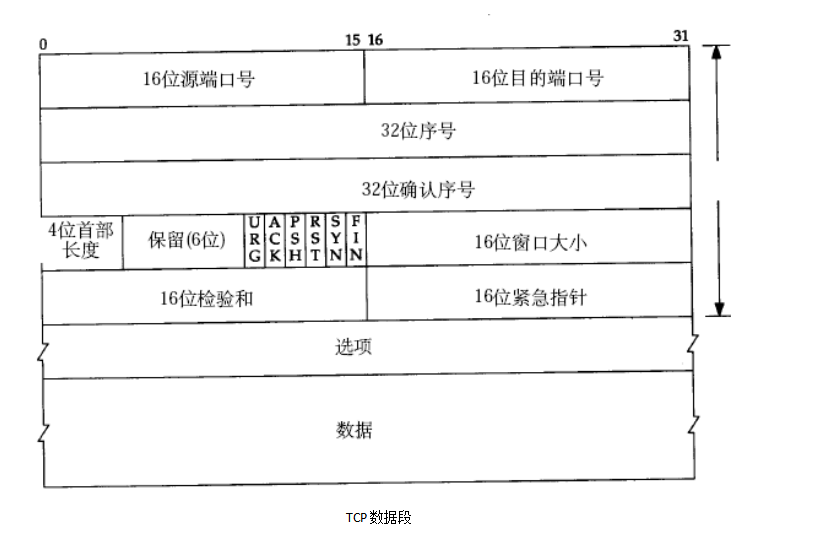 image-20220201173716334