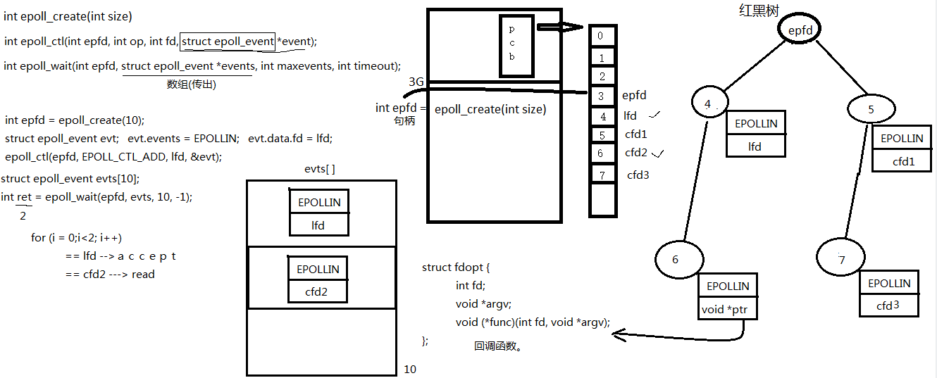 image-20220215203335277