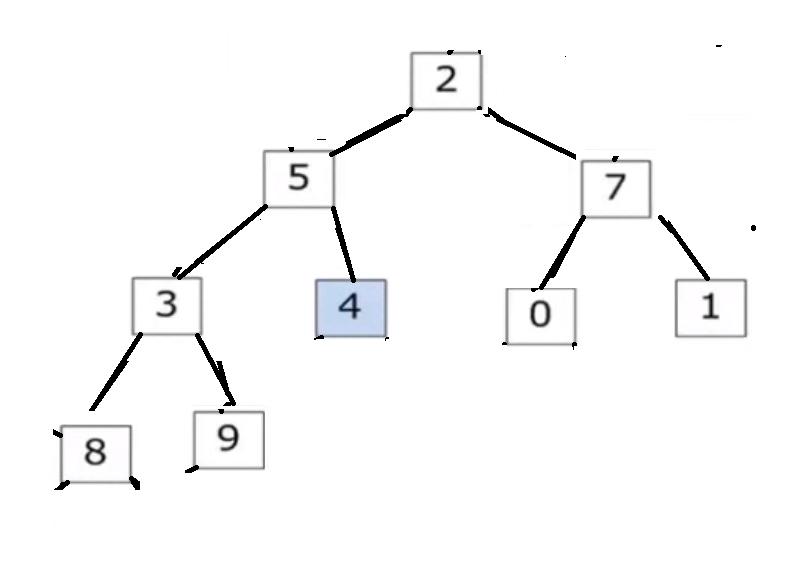 image-20220423160654345